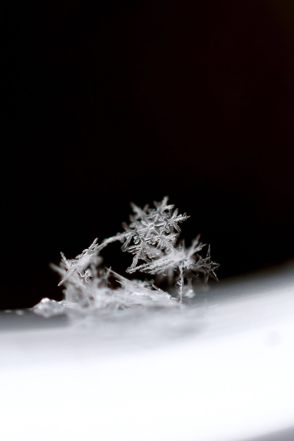 HAPPINESS VANISHES LIKE A SNOWFLAKE.