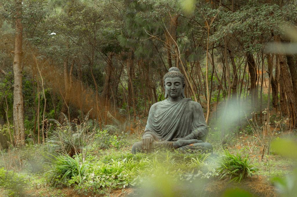 Meditative absorptions: why they matter.